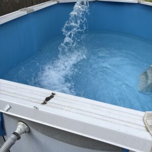 Commercial Pool Pump and Filter Repair for Properties in Springfield, MA